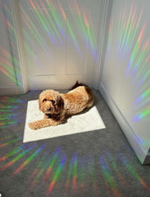 Load image into Gallery viewer, Suncatcher Rainbow Maker Fortune Teller