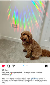 Suncatcher Rainbow Maker All We Need