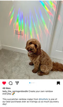 Load image into Gallery viewer, Suncatcher Rainbow Maker Somewhere Over Rainbow
